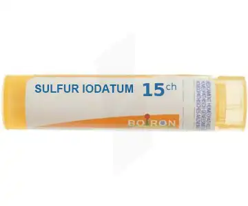 Boiron Sulfur Iodatum 15ch Granules Tube De 4g à LA TREMBLADE