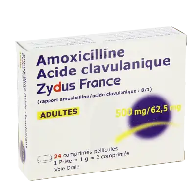 Amoxicilline/acide Clavulanique Zydus France 500 Mg/62,5 Mg Adultes, Comprimé Pelliculé (rapport Amoxicilline/acide Clavulanique: 8/1) à TOULOUSE