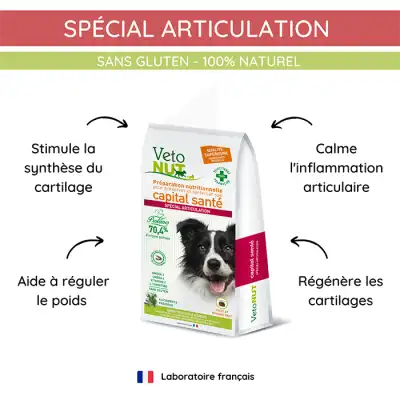Vétonut Croquettes Pour Chien « spécial Articulation » Carton à Saint-Etienne