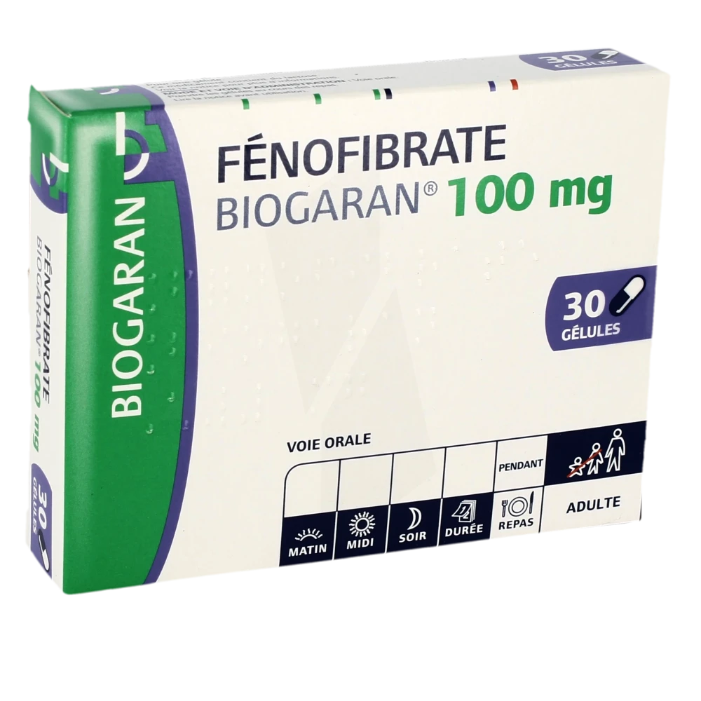 Fenofibrate Biogaran 100 Mg, Gélule