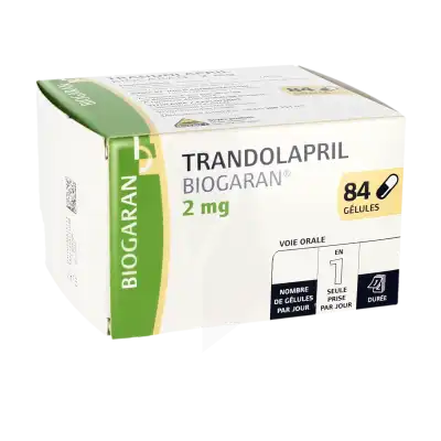 Trandolapril Biogaran 2 Mg, Gélule à MONTEREAU-FAULT-YONNE