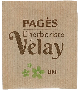 Pagès Thé Vert Gingembre à L'huile Essentielle De Citron Vert Thé Vert Bio Boîte De 20 Sachets