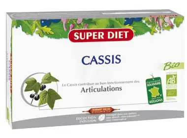 Superdiet Cassis Bio Jus Souplesse Articulation 20 Ampoules/15ml à Narbonne