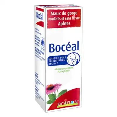 Bocéal® Solution Pour Pulvérisation Buccale Fl/20ml à YZEURE