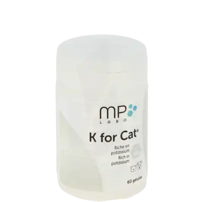 K For Cat Gélules Chien/chat B/60 à Charmes