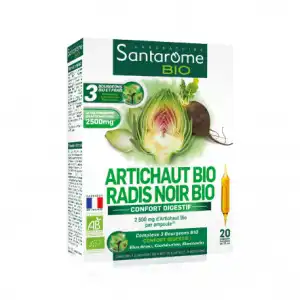 Santarome Bio Artichaut Radis Noir Solution Buvable 20 Ampoules/10ml à ROQUETTES