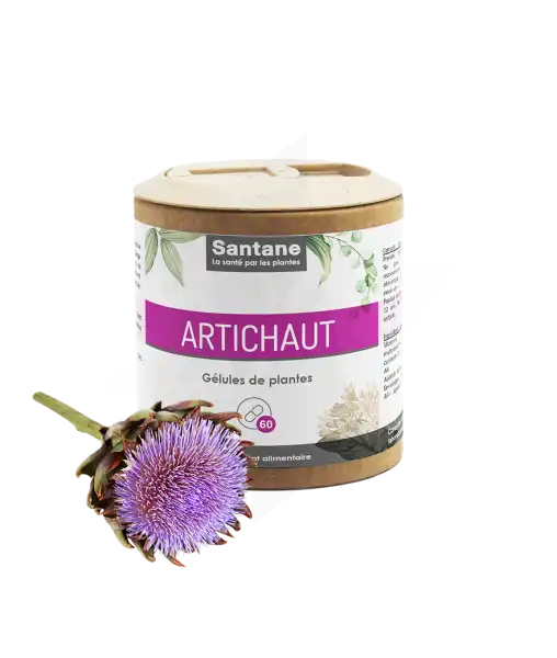 Santane Artichaut Gélules De Poudre De Plantes 150mg B/60