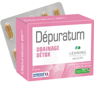 Lehning Dépuratum Gélules Drainage Détox B/60