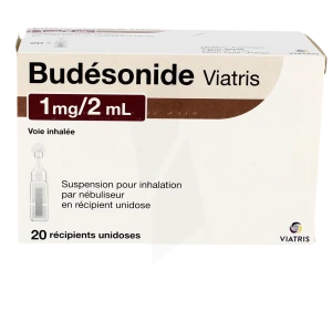 Budesonide Viatris 1 Mg/2 Ml, Suspension Pour Inhalation Par Nébuliseur En Récipient Unidose