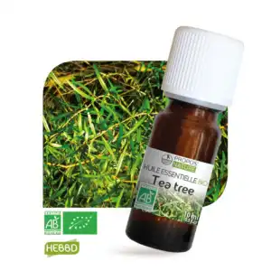Propos'nature Huile Essentielle Tea Tree Bio 10ml à CHAMBÉRY