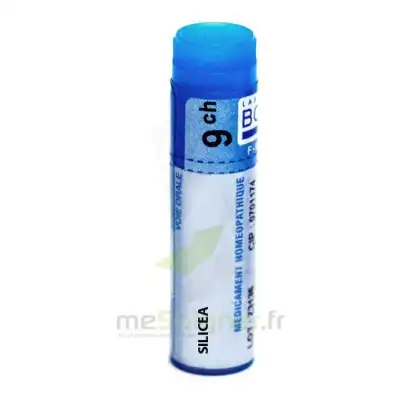 Boiron Silicea 9ch Globules Dose De 1g à VESOUL