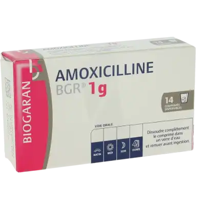 Amoxicilline Bgr 1 G, Comprimé Dispersible à Hagetmau