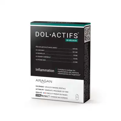 Synactifs Doloactifs Gélules B/20 à AMBARÈS-ET-LAGRAVE