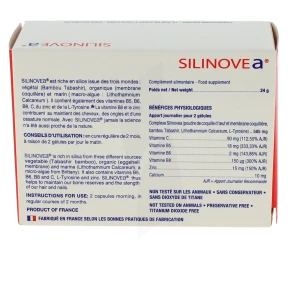 Silinovea, Bt 60