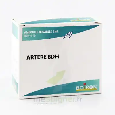 Boiron Artere 8dh Ampoules 1ml B/30 à SENNECEY-LÈS-DIJON