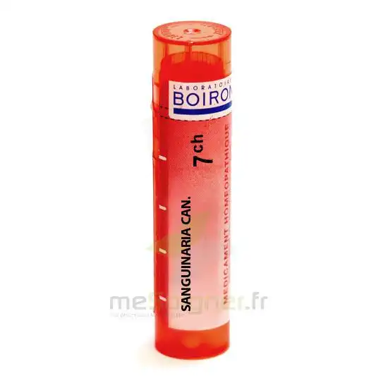 Boiron Sanguinaria Canadensis 7ch Granules Tube De 4g