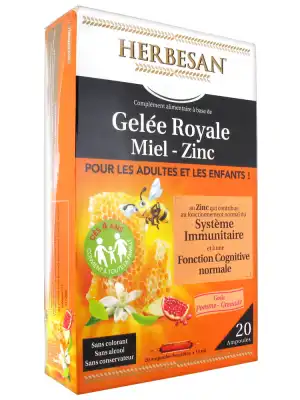 Herbesan Gelée Royale Miel - Zinc Dès 4 Ans B/20 à YZEURE