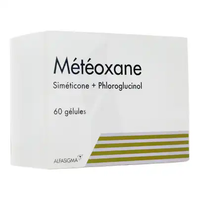 Meteoxane Gél B/60 à VILLEFONTAINE
