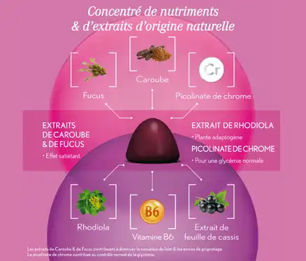 Oenobiol Gummies Minceur Gommes Pot/60