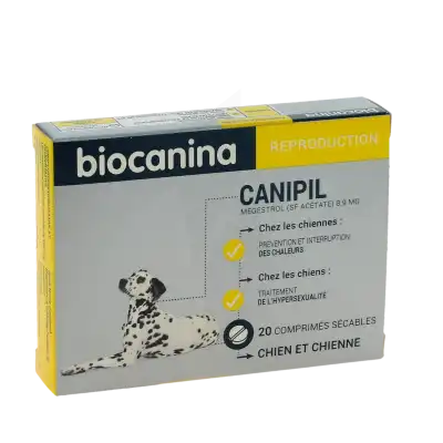 CANIPIL, Comprimé pelliculé