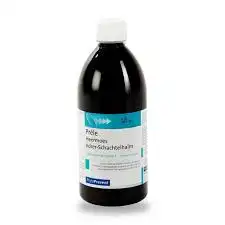 Eps Phytostandard Prêle Extrait Fluide Fl/500ml à VALS-LES-BAINS