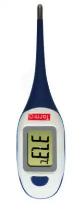 Torm Thermomètre Electronique Grand Ecran à Mûrs-Erigné