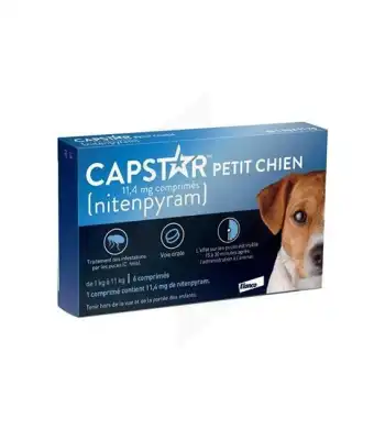 Capstar 11,4mg Comprimés petit chien B/6