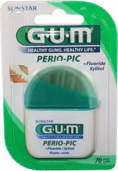 Gum Perio Pic, Bt 60 à PINS-JUSTARET