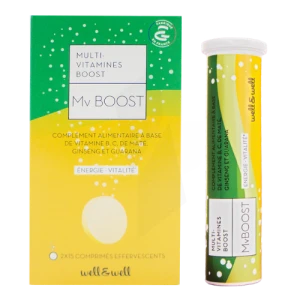 Well&well Mvboost Multi-vitamines Boost Effervescente
