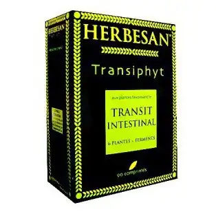 Herbesan Transiphyt, Bt 90 à Harly