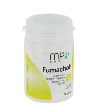 Fumachol Gelules B/50 Gel