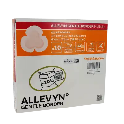 Allevyn Gentle Border Multisite, Bt 10 à VILLEMUR SUR TARN