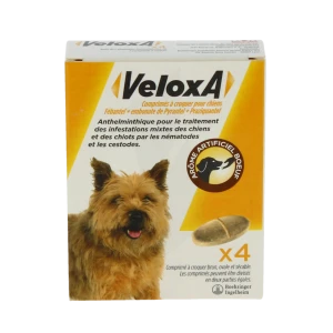 Veloxa Comprimes A Croquer Pour Chiens, Comprimé à Croquer