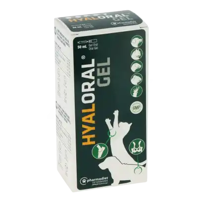 Hyaloral Gel Or Fl/50ml