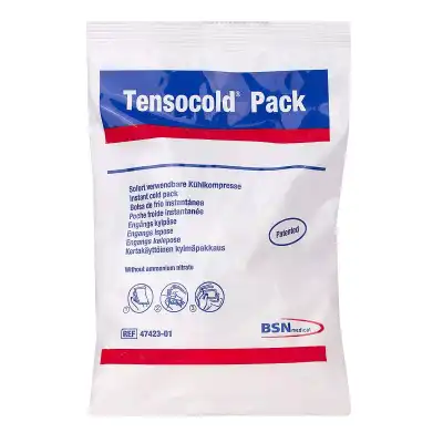 Tensocold Pack Poche De Froid InstantanÉ B/1 à RUMILLY