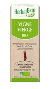 Herbalgem Vigne Vierge Macérat Bio 30ml à SEYNE-SUR-MER (LA)