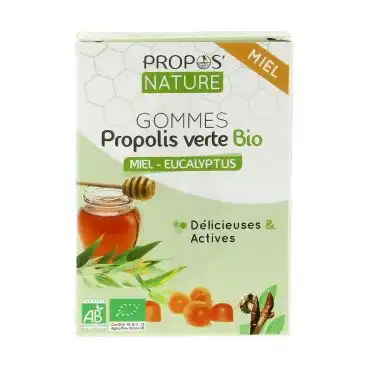 Propos'nature Gomme De Propolis Miel/eucalyptus B/24 à CHAMBÉRY