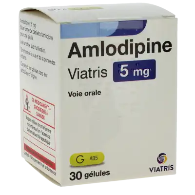 Amlodipine Viatris 5 Mg, Gélule à Chelles
