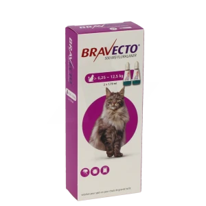 Bravecto 500 Mg Solution Pour Spot-on Pour Chats De Grande Taille (> 6,25 - 12,5 Kg), Solution Pour Spot-on