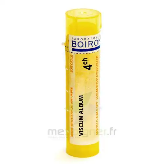 Boiron Viscum Album 4ch Granules Tube De 4g