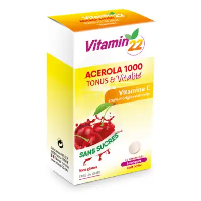 Ineldea Vitamin'22 Acérola 1000 Comprimés à Croquer Cerise B/24 à Saint Priest