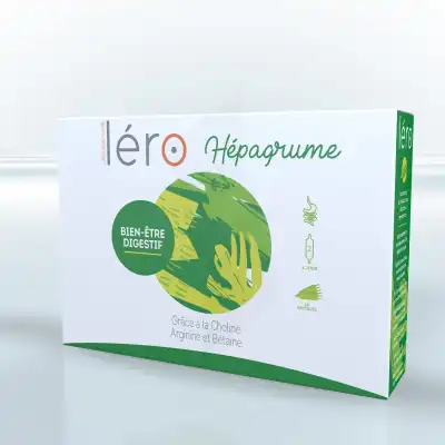 Léro Hepagrume Solution Buvable Complément Alimentaire 20 Ampoules/10ml à BIARRITZ