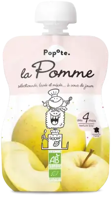 Popote Gourde Pomme Lisse Bio 120g* à RUMILLY