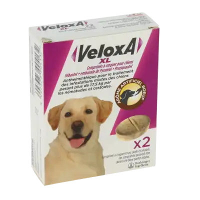 Veloxa XL Comprimés à croquer vermifuge chien B/2