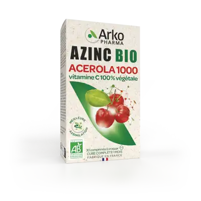 Azinc Vegetal AcÉrola 1000 Bio Cpr 2t/15 à Bordeaux
