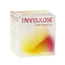 Transulose 1,75 G/2,15 G/1,07 G Pour 5 G Pâte Orale En Sachet B/10 à CLERMONT-FERRAND