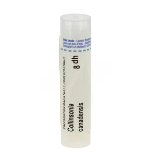 Boiron Collinsonia Canadensis 8dh Granules Tube De 4g