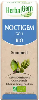 Herbalgem Noctigem Bio 30 Ml à Annecy