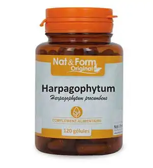 Nat&form Bio Harpagophytum Gélules B/80 à Vierzon