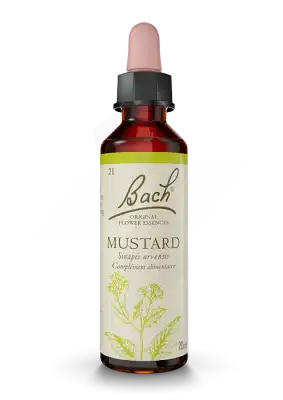 Fleurs De Bach® Original Mustard - 20 Ml à Mimizan